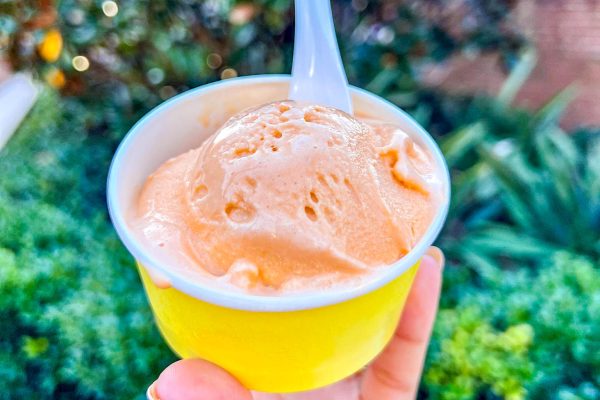 REVIEW of the NEW Gelato Stand in Disney’s Hollywood Studios