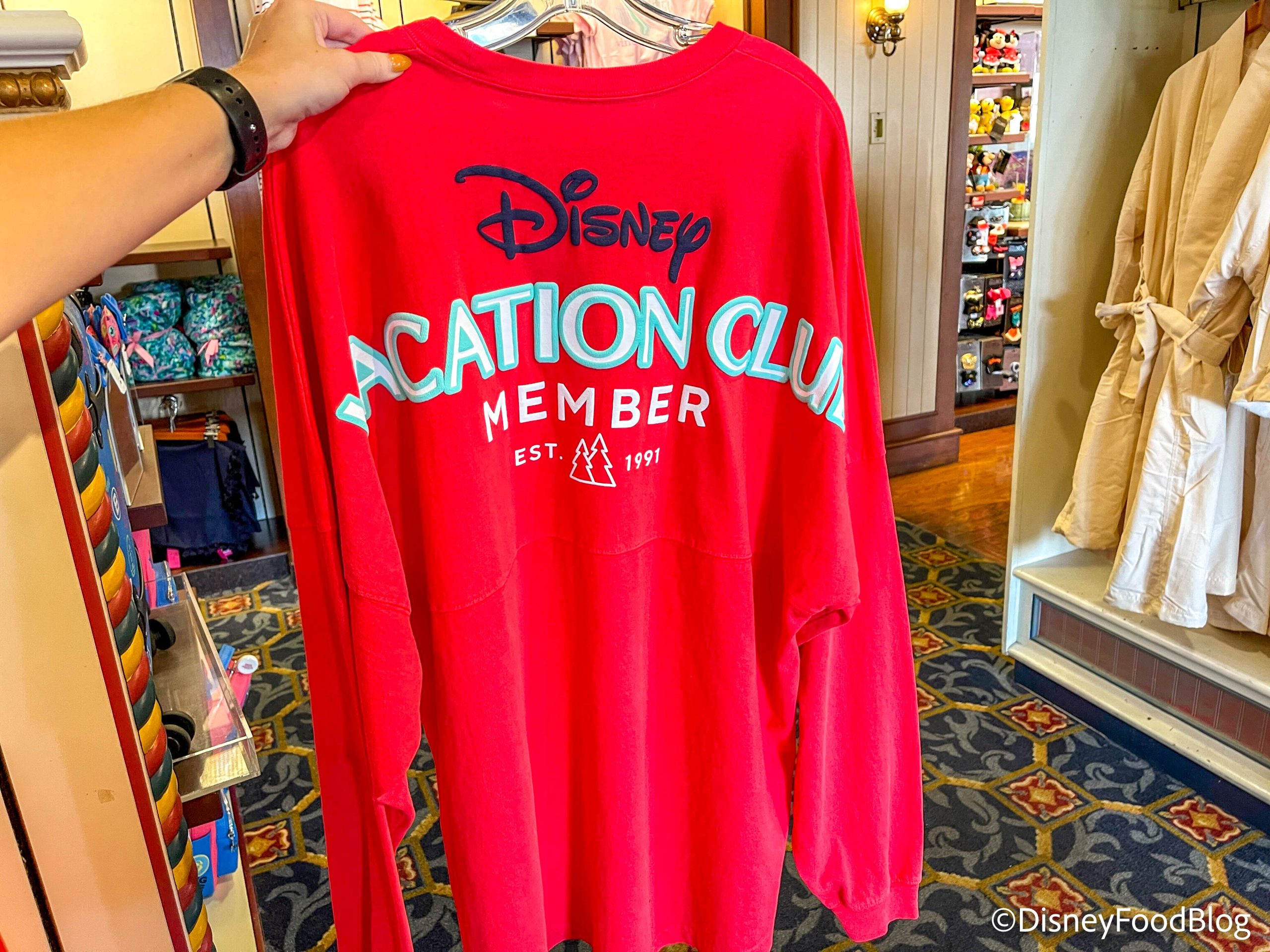 Disney Vacation Club Points Charts Released for 2024 the disney food blog