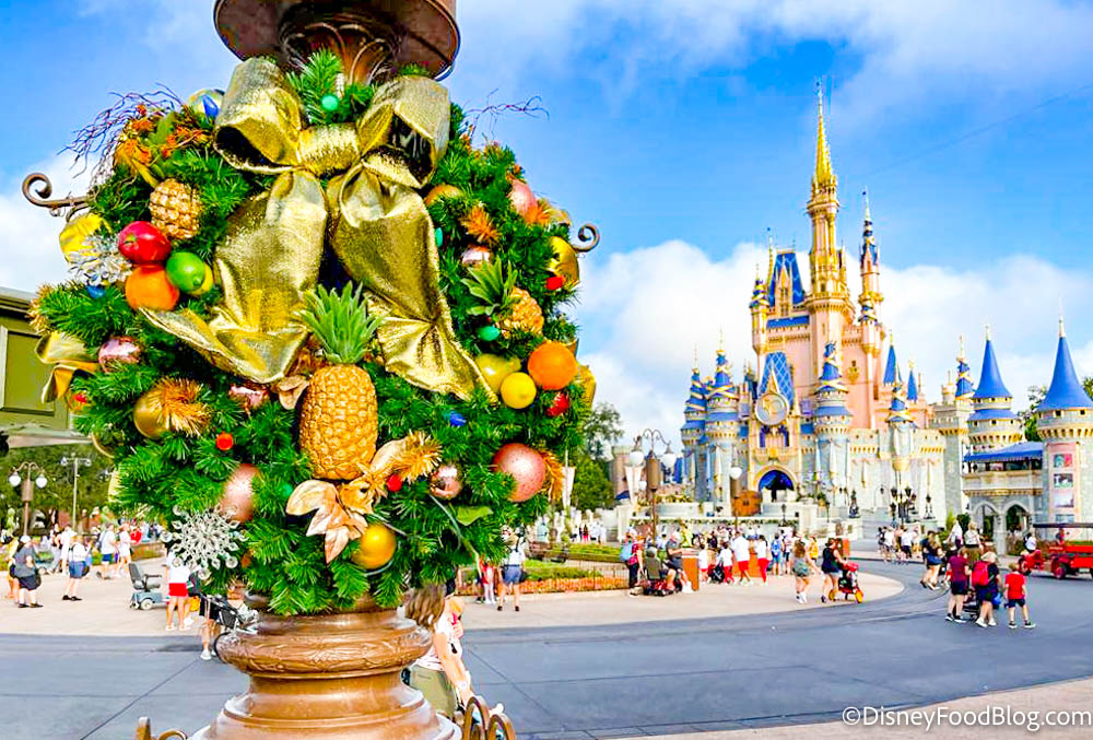 PHOTOS & VIDEOS: The Christmas Tree Is Officially UP in Magic ...