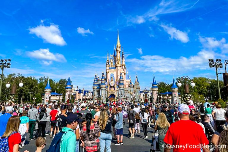 PHOTOS: The Crowds & Wait Times are Making Us Cringe in Disney World ...