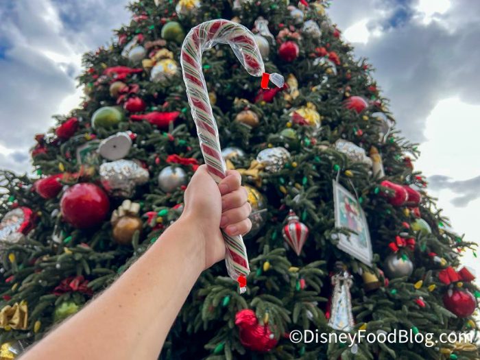 https://www.disneyfoodblog.com/wp-content/uploads/2022/12/2022-Disneyland-Candy-Cane-Christmas-Tree-Up-1-700x525.jpg