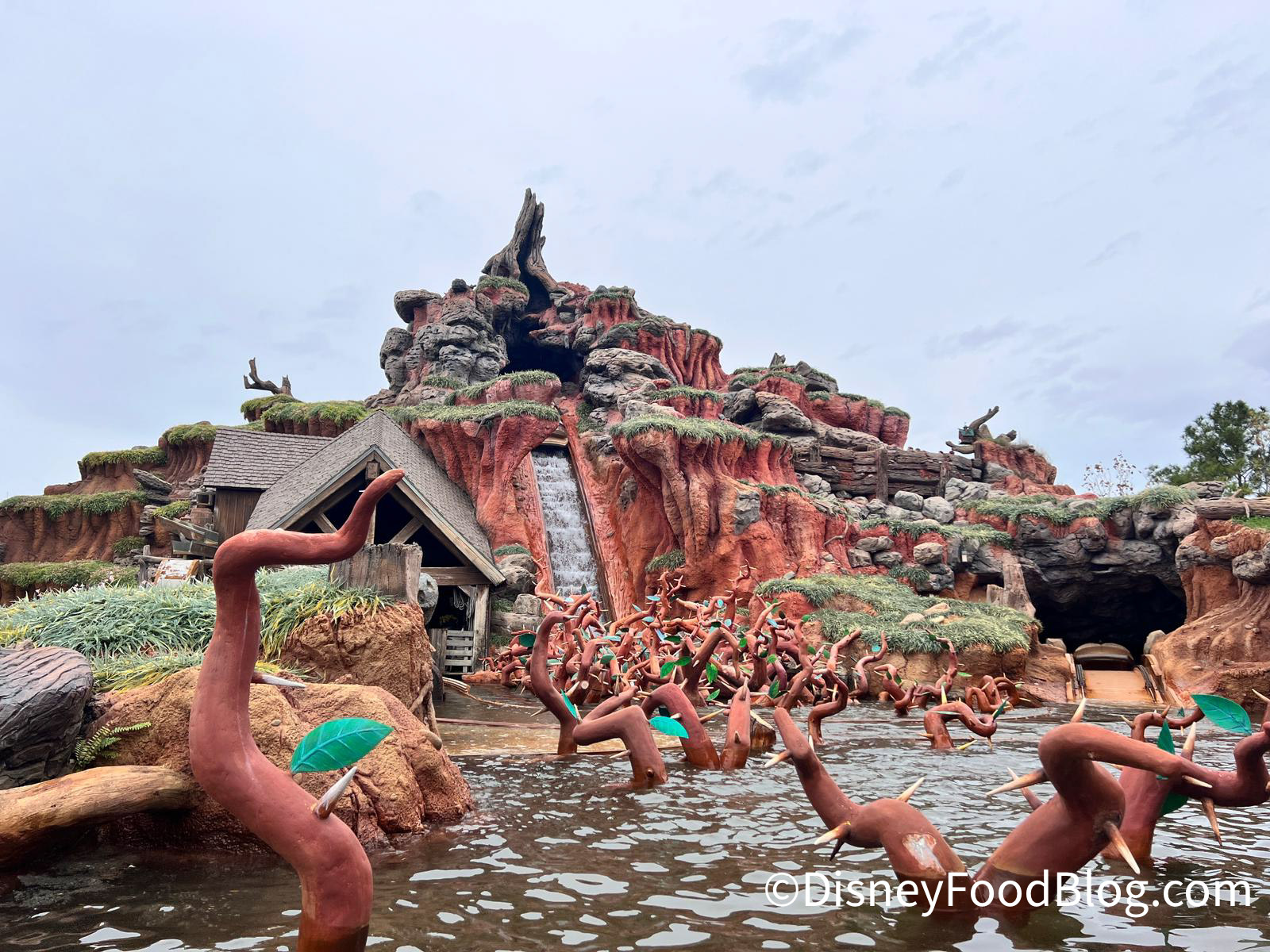 How One Celebrity Is Keeping Splash Mountain Alive
