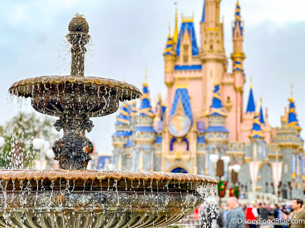 Disney World Disneyland Vacation Cruise Personalized
