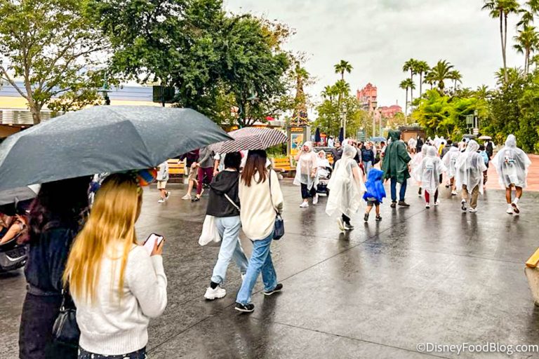 Are Umbrellas Allowed At Disney World