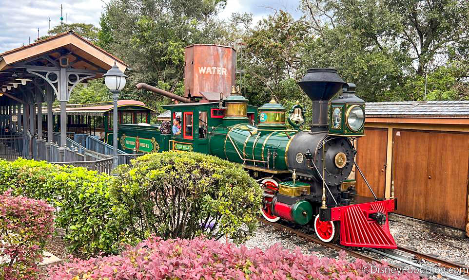 VIDEO: Walt Disney World Railroad Testing In View of Guests at the Magic  Kingdom - WDW News Today