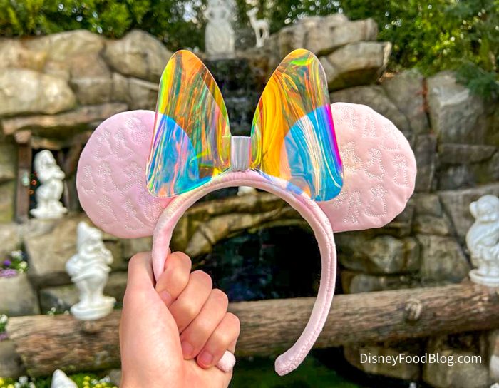 Stoney Clover Minnie Ears