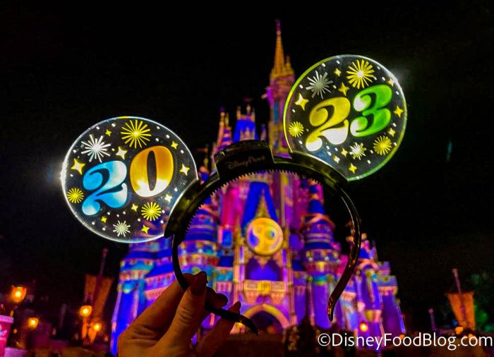 VIDEOS Celebrate New Year’s Eve With Us in Disney World! Disney by Mark