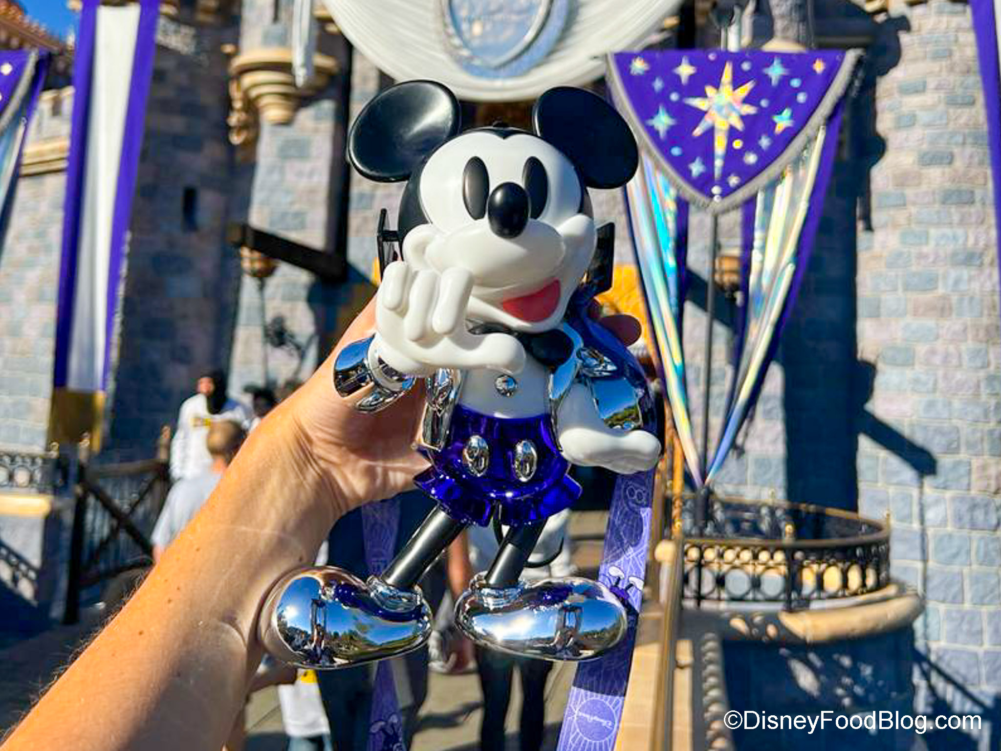 Mickey & Minnie 100th Anniversary