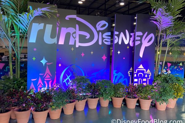 I Added Up Everything a runDisney 2027 Weekend Costs and Was Shocked