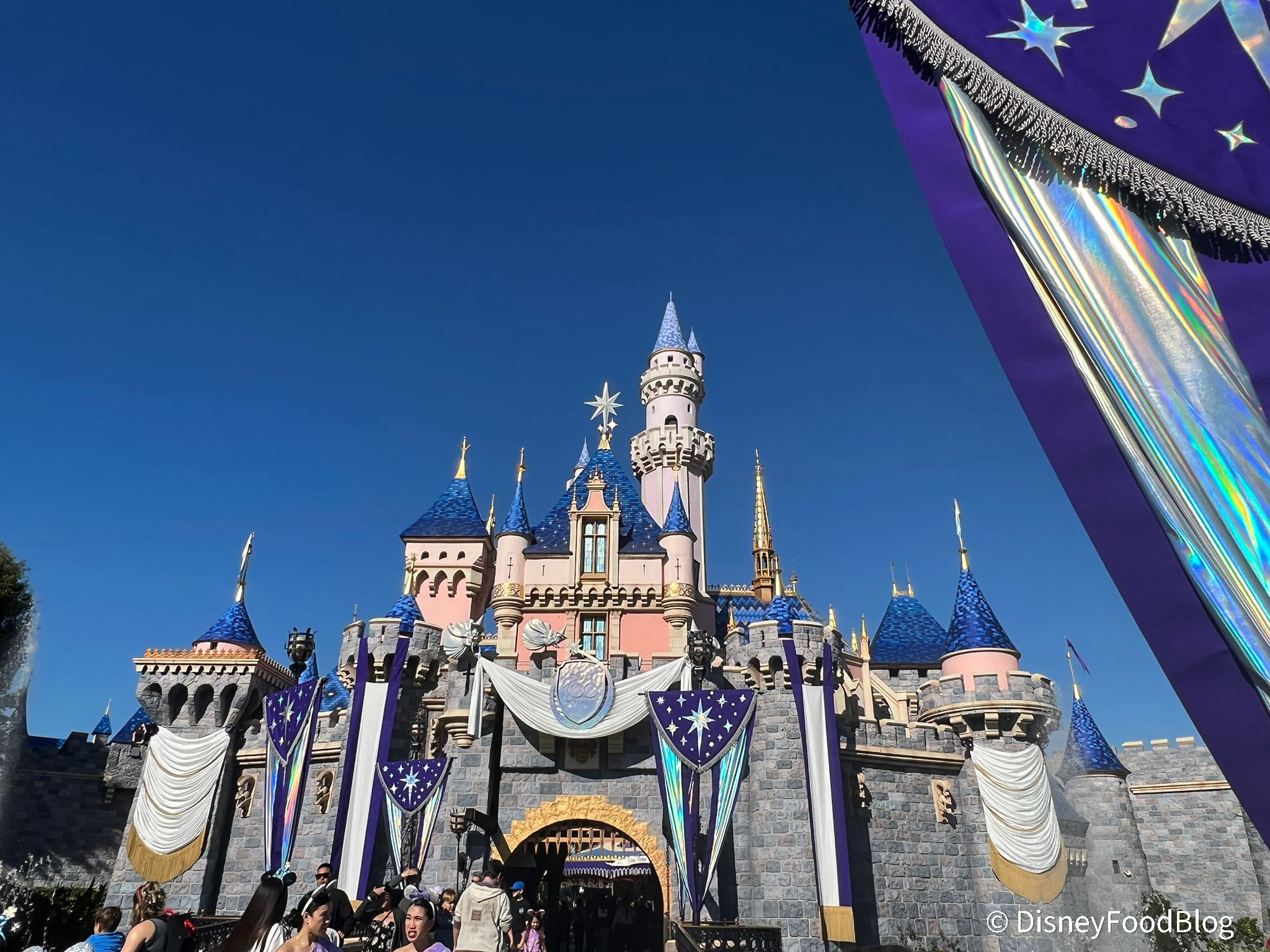 Walt Disney World Cinderella Castle Large Tall Mug by Arribas