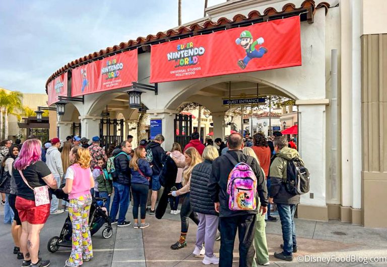 PHOTOS: Opening Day Crowds for Super Nintendo World at Universal