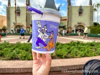 Every Single🍿Popcorn Bucket🍿You Can Get in Disney World Right Now ...