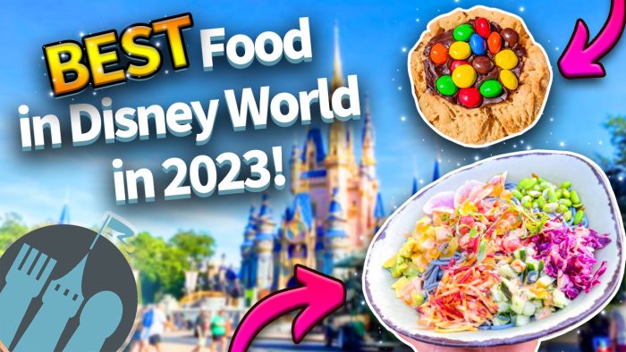 DFB Video: BEST Food in Disney World in 2023 | the disney food blog