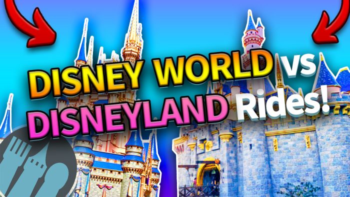 DFB Video: Disney World Rides vs Disneyland Rides | the disney food blog