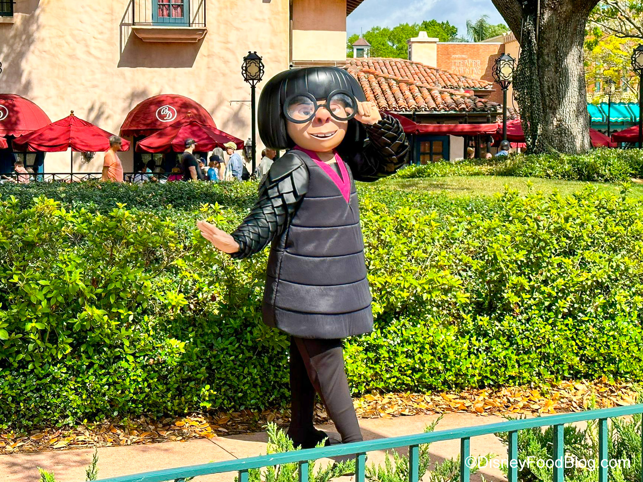 check-out-the-new-limited-time-magicshot-at-disney-world-the-disney