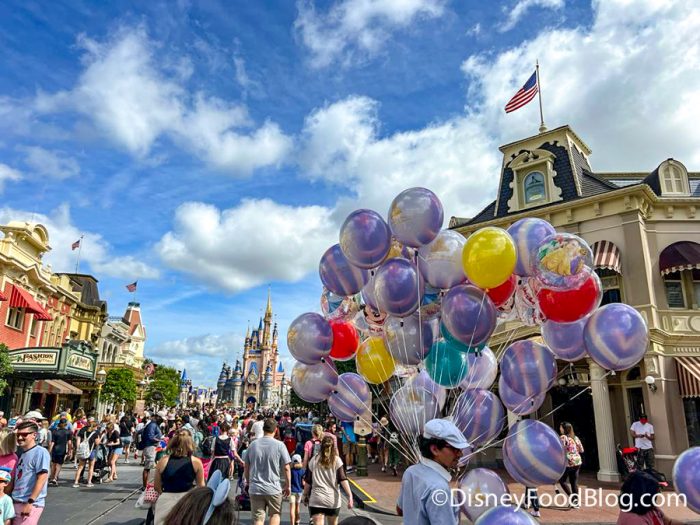 What's New in the Magic Kingdom: Celebration Sweets, Meet and Greets,  Construction, and more!