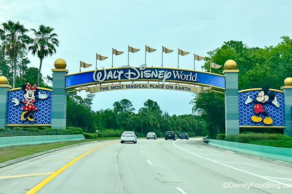 Nobody Is Talking About This HUGE Disney World Expansion Plan