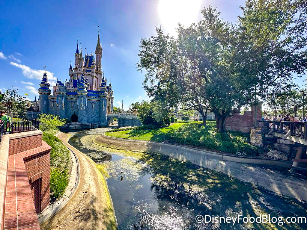 Disney Castle to Close for All Guests - Inside the Magic