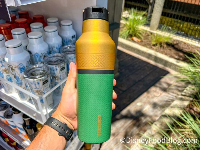 How to Make a Disney Water Bottle (November 2020)