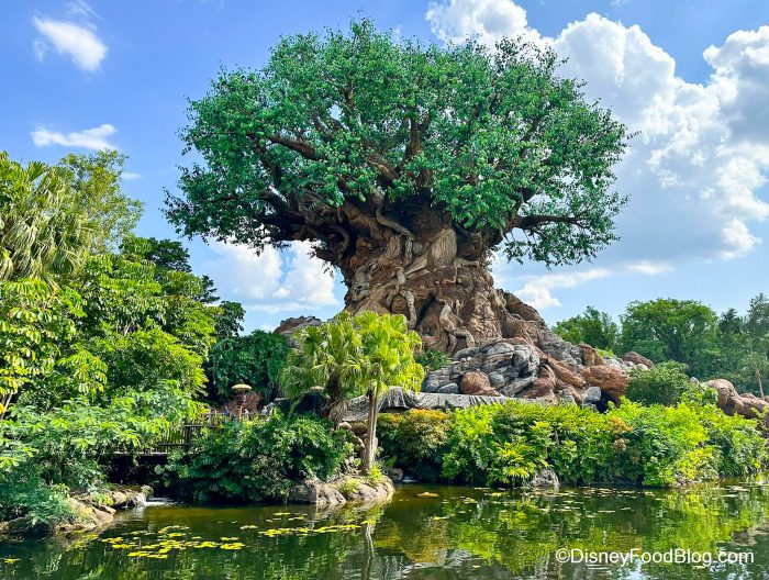 Tropical Americas Land' Replacing DinoLand at Disney's Animal Kingdom