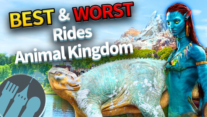 DFB Video: BEST and WORST Rides in Disney's Animal Kingdom | the disney ...