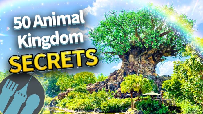 DFB Video: 50 Secrets and Tips for Disney World's Animal Kingdom | the ...