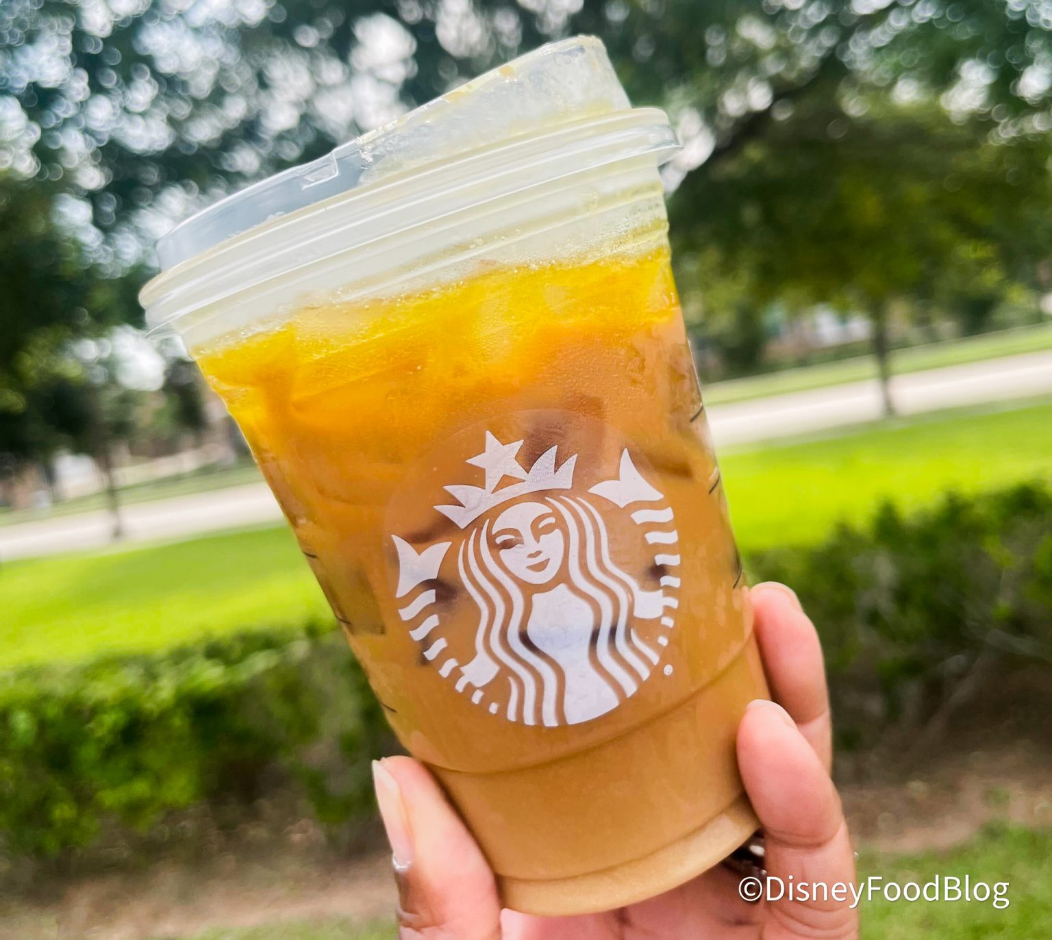 REVIEW: We Tried the CONTROVERSIAL Olive Oil Coffee from Starbucks ...