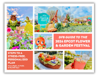 DFB-Guide-to-Flower-Garden-Festival.png