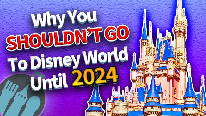 DFB Video: Why You Shouldn't Go To Disney World Until 2024 | the disney