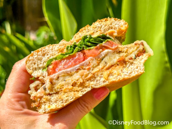 Yak & Yeti Local Foods Café Review - Disney Tourist Blog