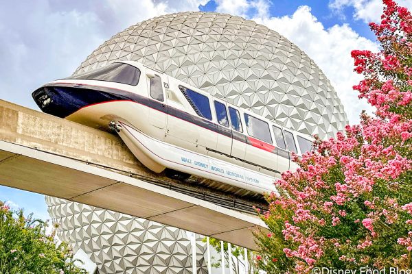 Why You May Want To AVOID EPCOT on April 21st
