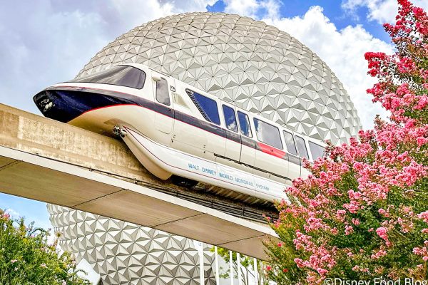 These Two Disney World Rides Were TIED with the Highest Waits Last Week