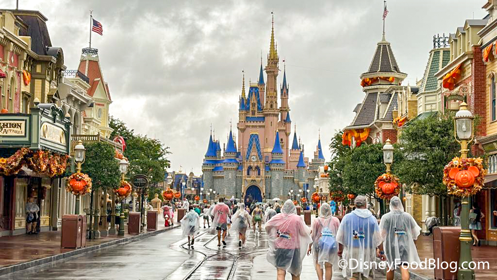 Lightning McQueen's Racing Academy Reopens Following Unexpected 9-Day  Closure