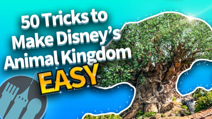 DFB Video: 50 Easy Tricks That Make Disney's Animal Kingdom So Much ...