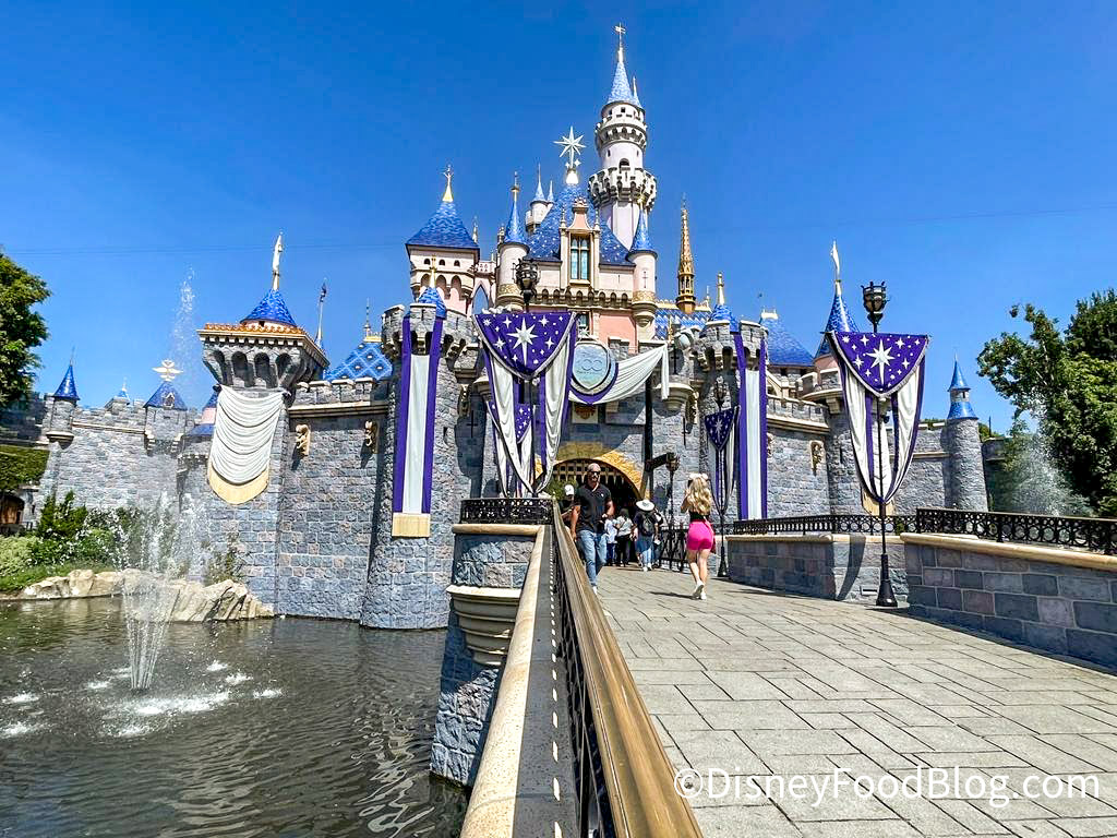 Disneyland Sleeping Beauty Castle by Loungefly in 2023