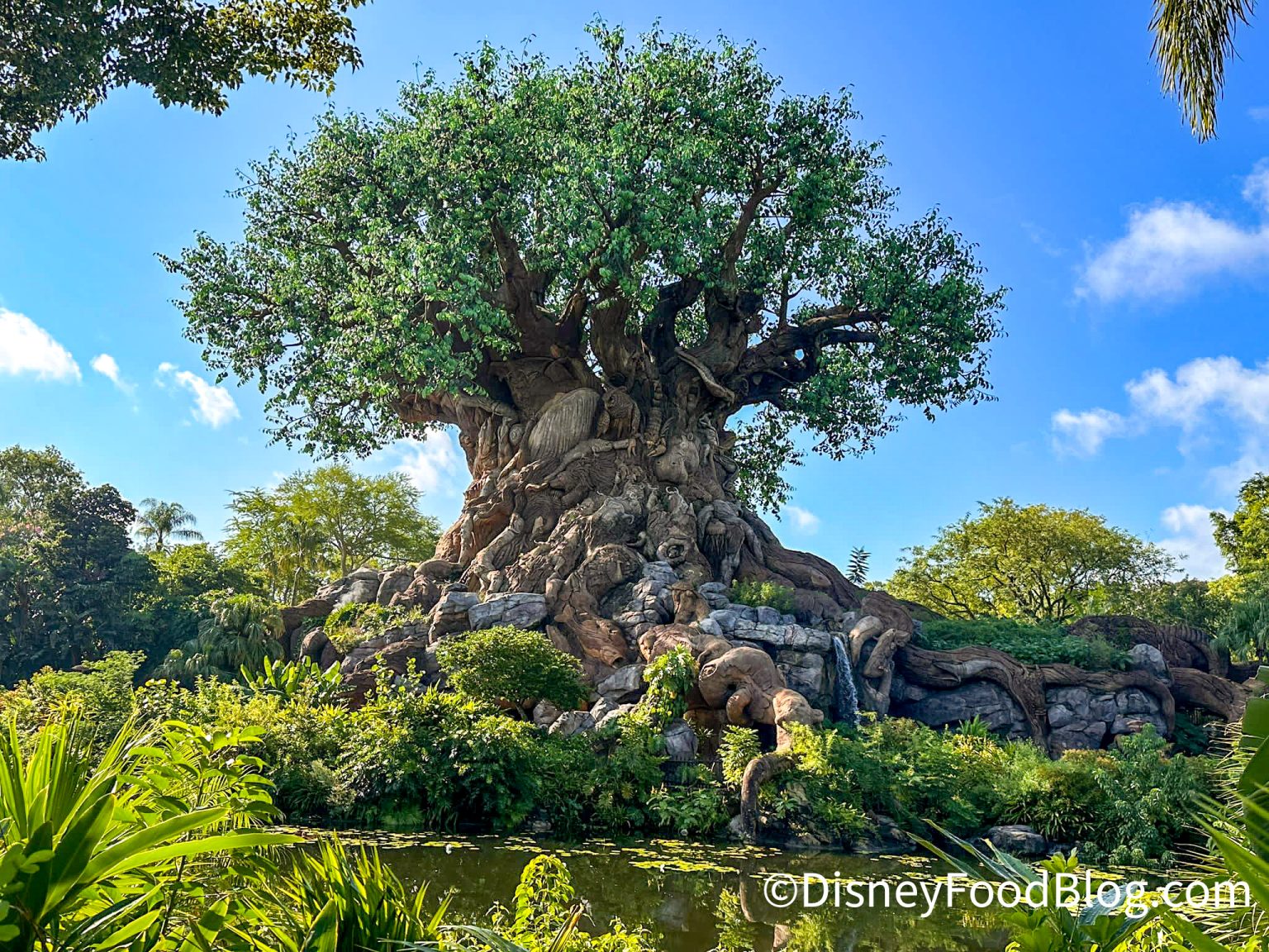 Disney Dropped 6 Clues About the Teased Encanto and Indiana Jones Lands in Animal Kingdom
