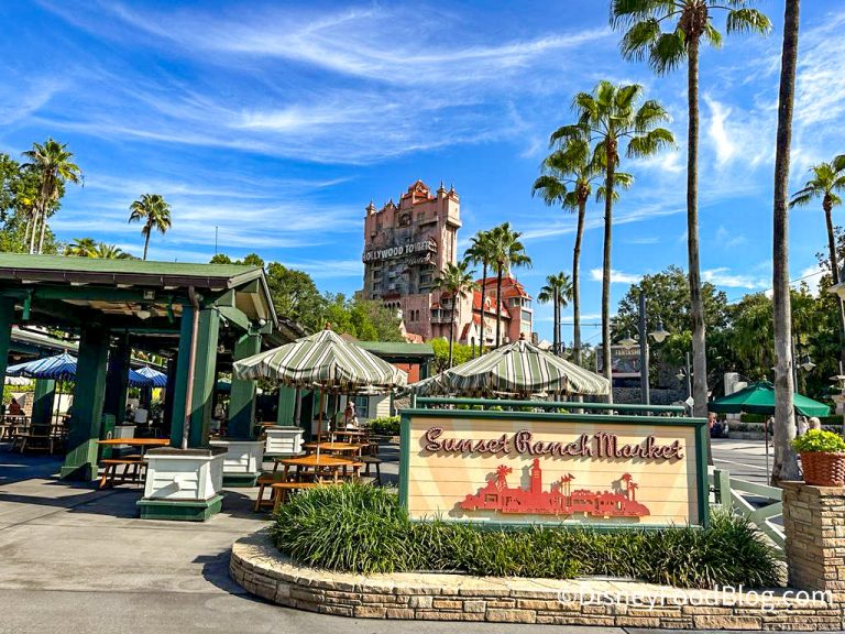 Sunset Ranch Disney REVIEW: We Tried NEW Buffalo Fries in Disney World! | the disney food blog