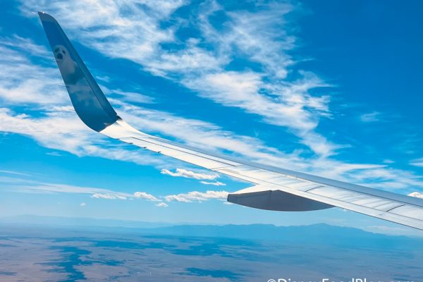 NEWS: Flight Prices Could Stay High, Even if Fuel Prices Drop