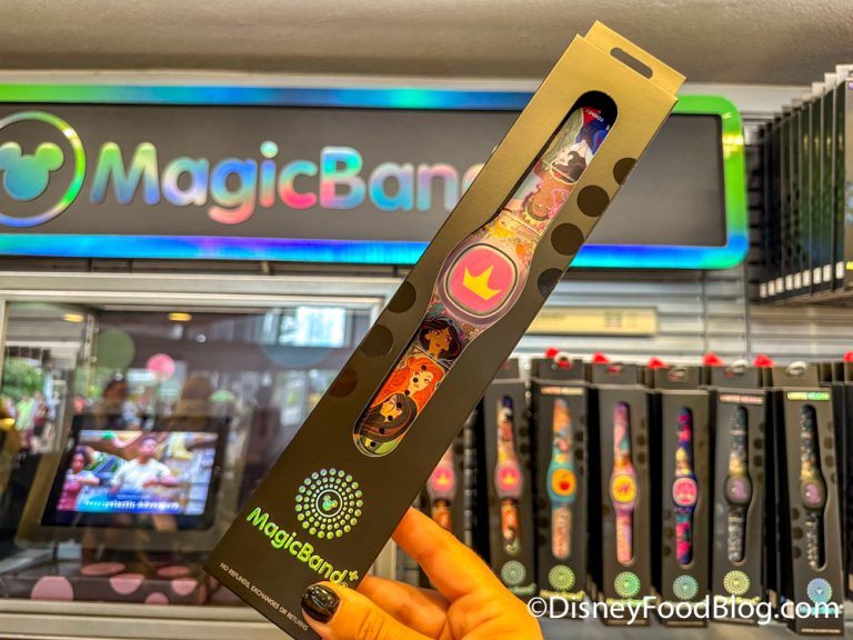 This Hidden MagicBand Safety Feature Is a GAME CHANGER at Disney World ...
