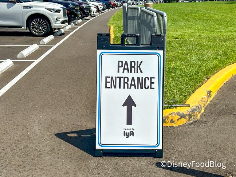 FIRST LOOK at a Transportation CHANGE in EPCOT | the disney food blog