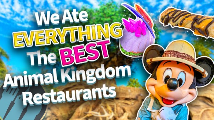 DFB Video: We've Eaten at Every Animal Kingdom Restaurant These Are the ...
