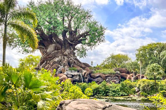 2023-wdw-dak-animal-kingdom-atmo-tree-of