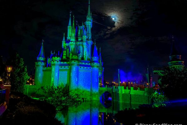 6 Weird Things Every Hardcore Night Owl Does in Disney World (But Nobody Talks About)