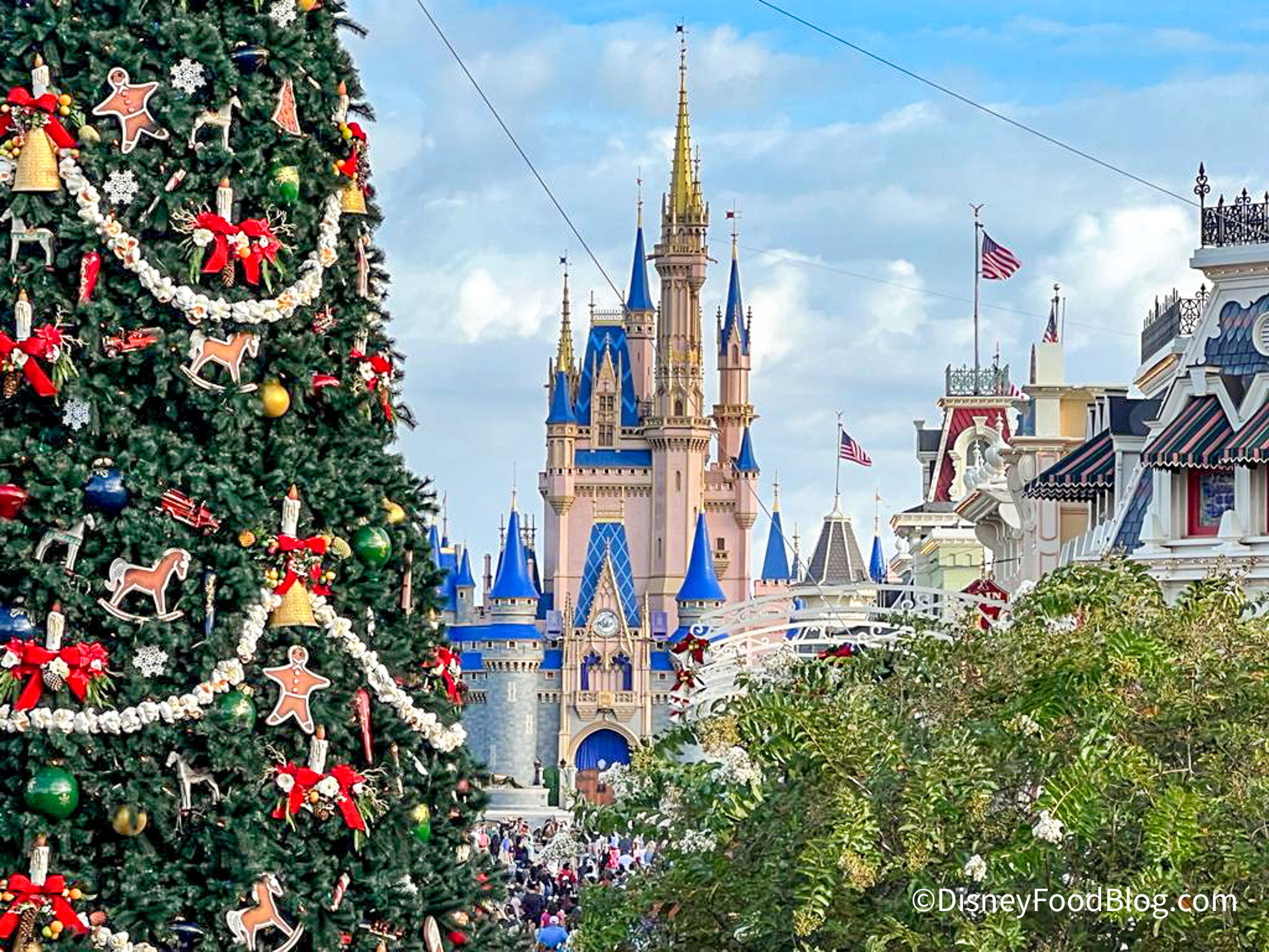 Crowds On Christmas Day At Disney World