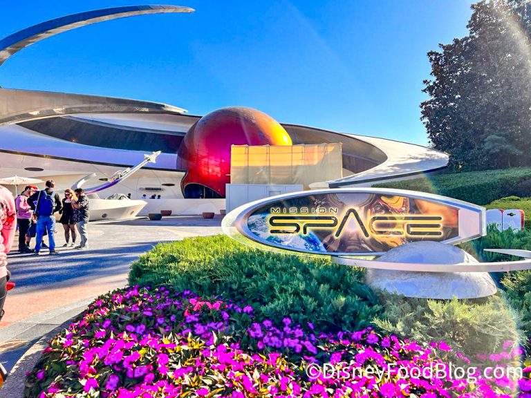 50 AMAZING Things You Never Knew Were in EPCOT | the disney food blog