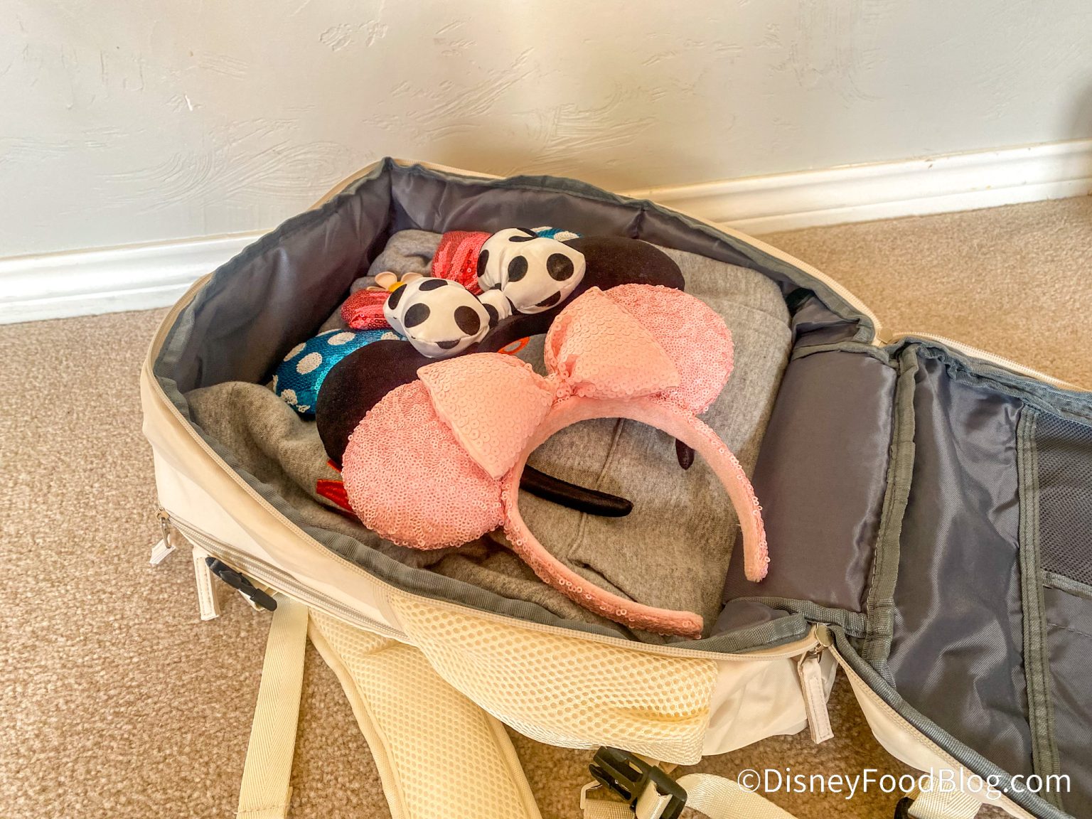 Why Everyone Is Buying This $34 Backpack for Disney World | the disney