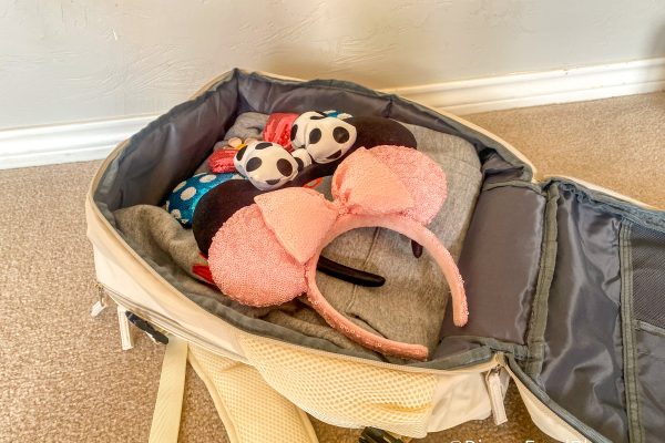 This Backpack Can Be a Carry On AND Your Disney Park Bag