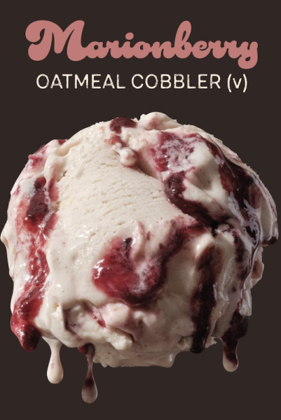 Marionberry-Oatmeal-Cobbler-Salt-and-Str