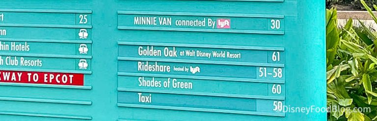 These Special Guests Have Their Own PRIVATE Disney World Bus Stop — And ...