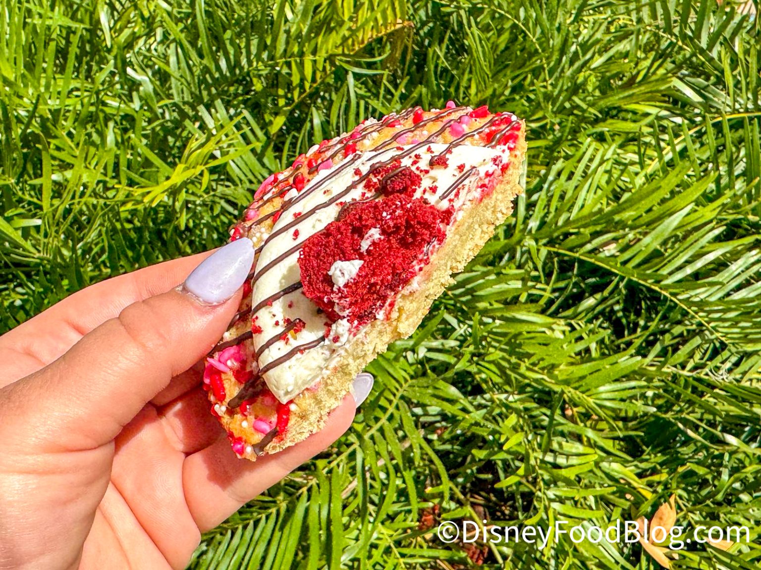 REVIEW: Disney Cookies? Good. NEW Cookies Topped With Cream Cheese ...
